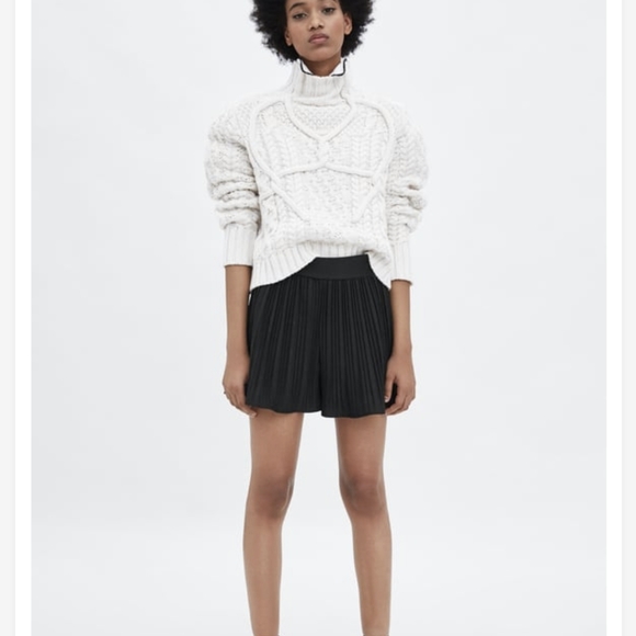 Zara Black Pleated Mini Skirt Host pick!!!! - Picture 4 of 16